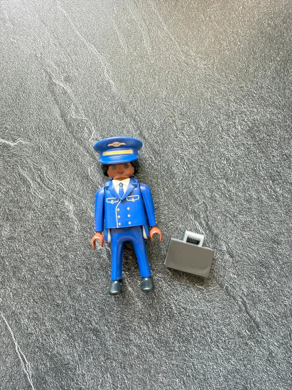Playmobil commandant de bord série 24